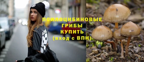 герыч Сафоново