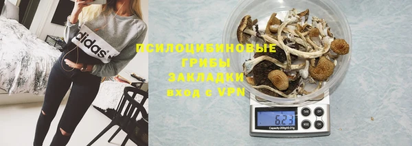 ГАЛЛЮЦИНОГЕННЫЕ ГРИБЫ Инсар
