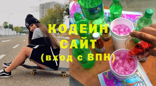 трава Инта