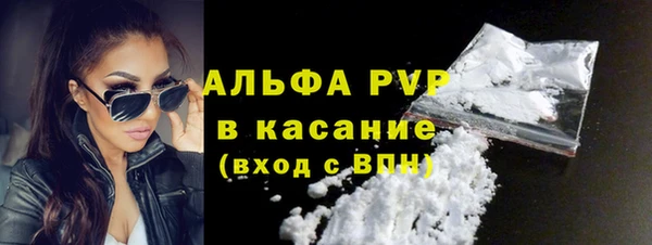 ГАЛЛЮЦИНОГЕННЫЕ ГРИБЫ Инсар