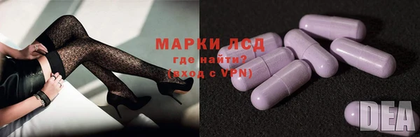 PSILOCYBIN Мосальск