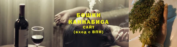 ГАЛЛЮЦИНОГЕННЫЕ ГРИБЫ Инсар