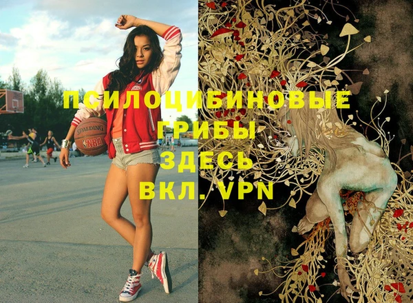 трава Инта