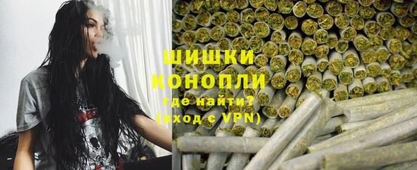 ГАЛЛЮЦИНОГЕННЫЕ ГРИБЫ Инсар