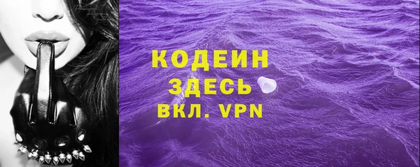 ГАЛЛЮЦИНОГЕННЫЕ ГРИБЫ Инсар