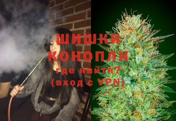 ГАЛЛЮЦИНОГЕННЫЕ ГРИБЫ Инсар