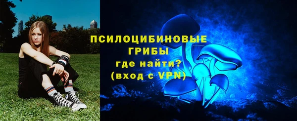2c-b Саяногорск