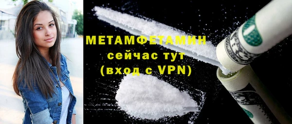 трава Инта