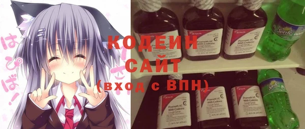 ГАЛЛЮЦИНОГЕННЫЕ ГРИБЫ Инсар