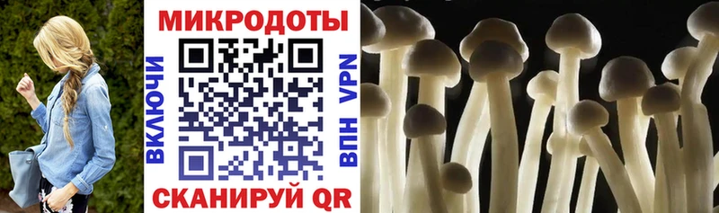 Псилоцибиновые грибы MAGIC MUSHROOMS  закладки  даркнет телеграм  Солнечногорск 
